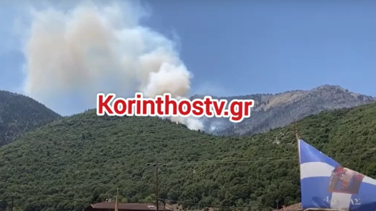 Μεγάλη αναζωπύρωση στην Λαύκα Κορινθίας – Επιχειρούν εναέρια μέσα (βίντεο)