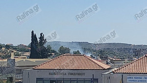 Οριοθετήθηκε η πυρκαγιά στο Ήμερο Πεύκο Πικερμίου