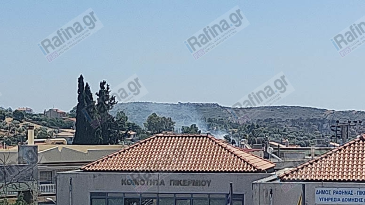 Οριοθετήθηκε η πυρκαγιά στο Ήμερο Πεύκο Πικερμίου