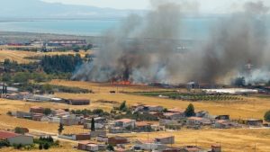 Υπό μερικό έλεγχο η φωτιά στην Αλεξανδρούπολη – Είχε ηχήσει το 112