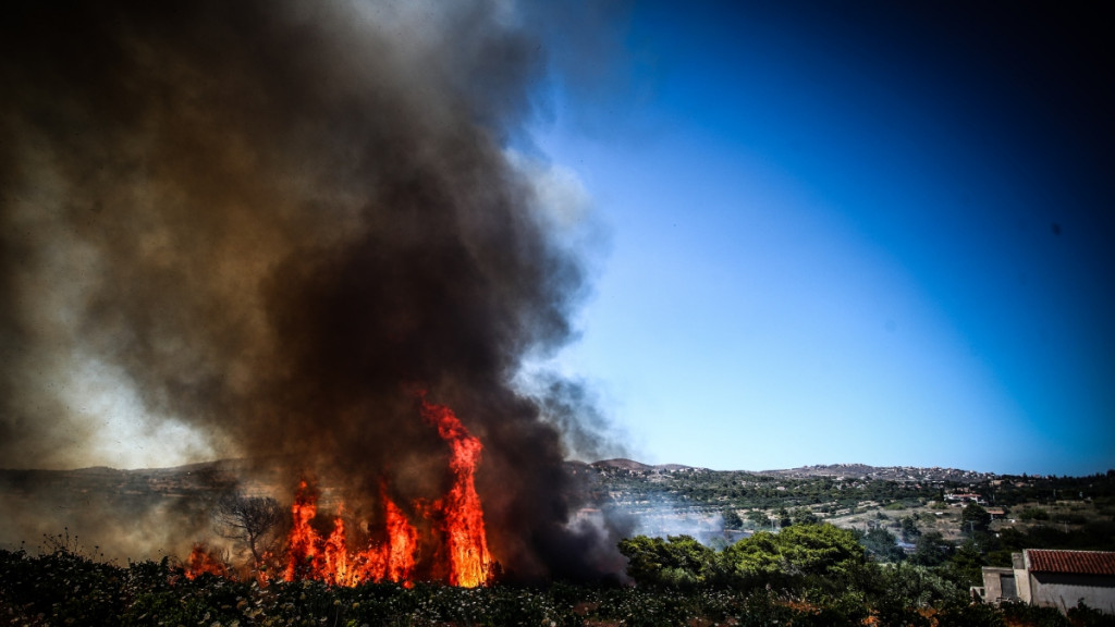 Προειδοποίηση Τσατραφύλλια: Οι άνεμοι foehn ανεβάζουν κατακόρυφα τον κίνδυνο πυρκαγιάς από την Τετάρτη