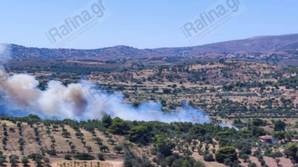 Φωτιά στην Ραφήνα: «Στο σημείο έχουν ξαναβάλει πυρκαγιά» – Τι αναφέρει μαρτυρία στο DEBATER (Βίντεο)
