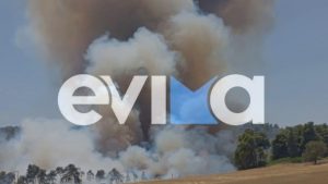 Φωτιά σε δασική έκταση στην Εύβοια – Ειδοποίηση από το 112: Κάηκαν επιχειρήσεις, εκκενώθηκε ο Πισσώνας (Βίντεο)