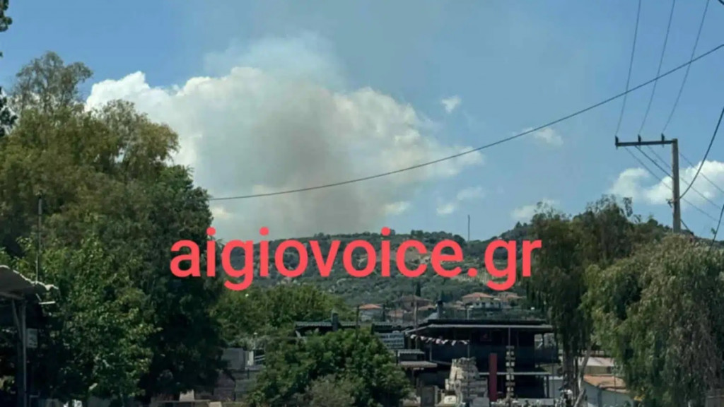 Μεγάλη φωτιά στην Αχαΐα – Στην μάχη 5 εναέρια μέσα, μήνυμα από το 112: “Παραμείνετε σε ετοιμότητα”