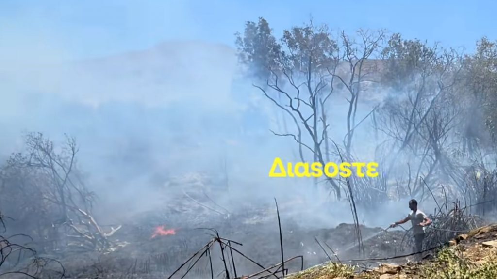 Φωτιά στην Μεσαρά – Υπό έλεγχο το μέτωπο της πυρκαγιάς, σηκώθηκε ένα ελικόπτερο (Βίντεο)