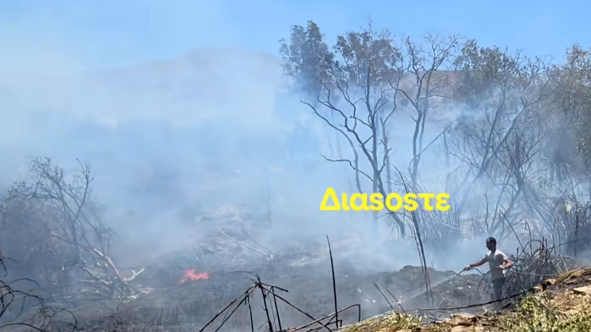 Φωτιά στην Μεσαρά – Υπό έλεγχο το μέτωπο της πυρκαγιάς, σηκώθηκε ένα ελικόπτερο (Βίντεο)