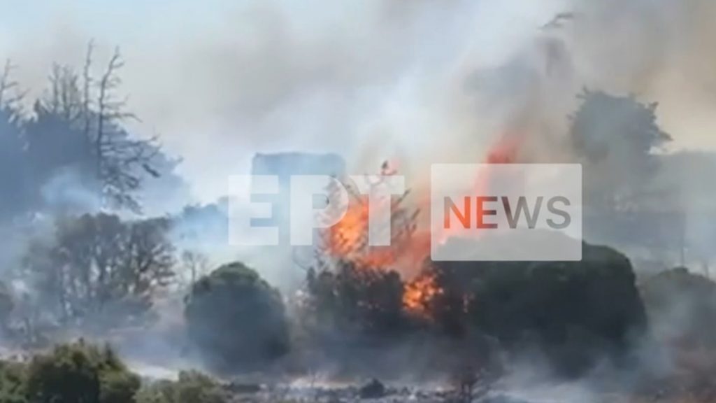 Φωτιά στα Κύθηρα – Μπαράζ μηνυμάτων από το 112 για εκκενώσεις, 3 εναέρια στην μάχη της κατάσβεσης