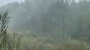 Φωτιά στα Ασπροπούλια Μεσσηνίας – Επιχειρούν 2 ελικόπτερα (Βίντεο)