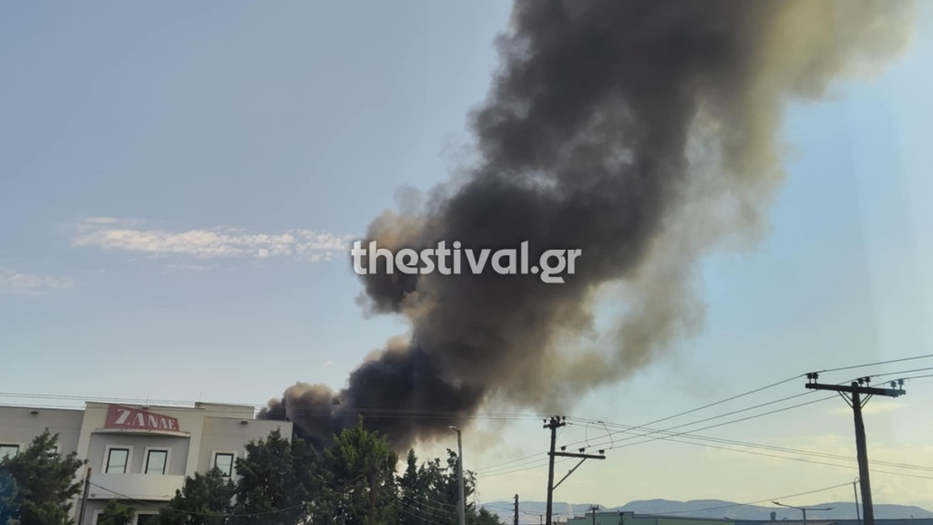 Θεσσαλονίκη: Φωτιά σε εταιρεία ανακύκλωσης στη Σίνδο – Ήχησε το 112 για τους καπνούς: “Κλείστε πόρτες και παράθυρα” (Βίντεο)