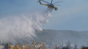 Φωτιά στην Καρίτσα Λακωνίας – Σηκώθηκαν εναέρια μέσα