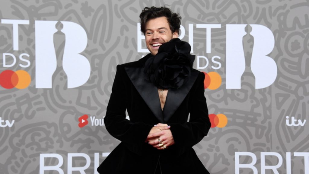 Harry Styles: Κυκλοφορεί τα δικά του sex toys – Η σειρά ονομάζεται «Pleasing Yourself»