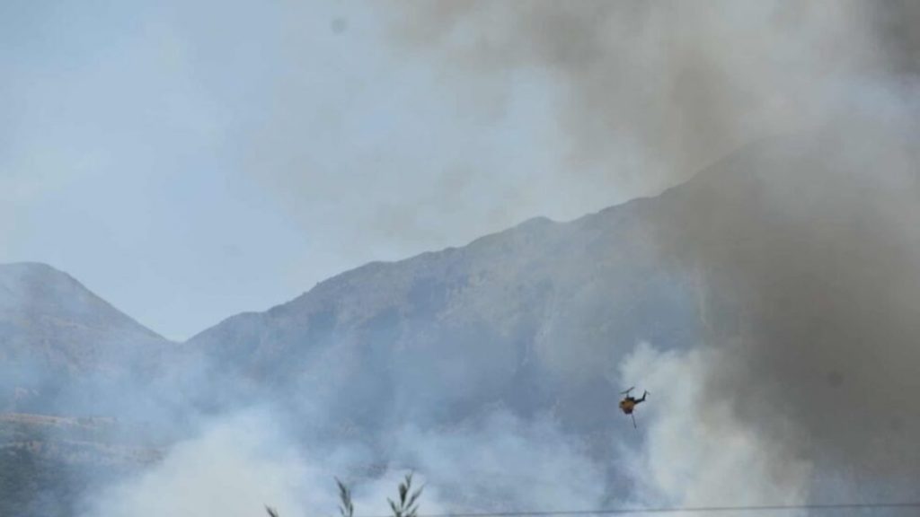 Πυρκαγιά στην Πεδινή Ιωαννίνων – Στη “μάχη” τέσσερα εναέρια μέσα (βίντεο)