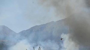 Πυρκαγιά στην Πεδινή Ιωαννίνων – Στη “μάχη” τέσσερα εναέρια μέσα (βίντεο)