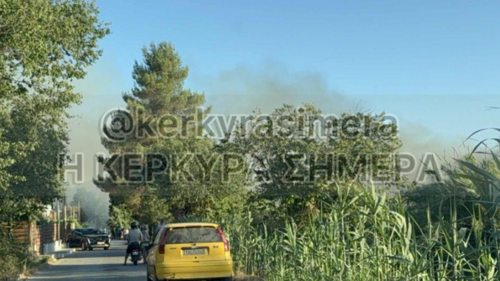 Φωτιά σε ξερά χόρτα και καλάμια στον Ποταμό Κέρκυρας (Βίντεο)