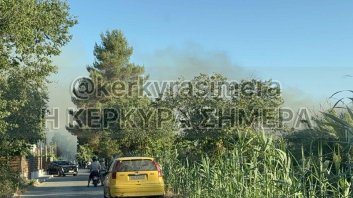 Φωτιά σε ξερά χόρτα και καλάμια στον Ποταμό Κέρκυρας (Βίντεο)