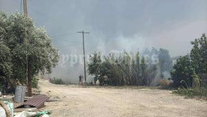 Πύρινη λαίλαπα στην Κύπρο – Εκκενώνουν τα σπίτια τους οι κάτοικοι της Βάσας, δείτε βίντεο
