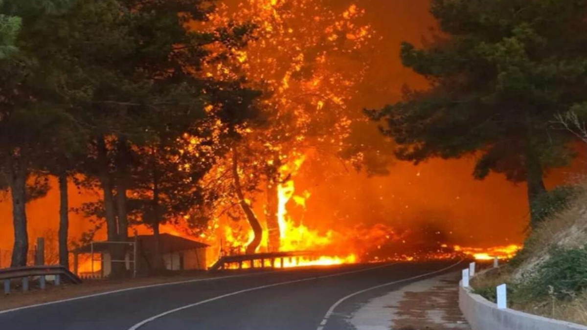 Κύπρος: Πύρινη «κόλαση» στην ορεινή Λεμεσό – Κάηκαν σπίτια σε οικισμούς (Βίντεο – Φωτογραφίες)