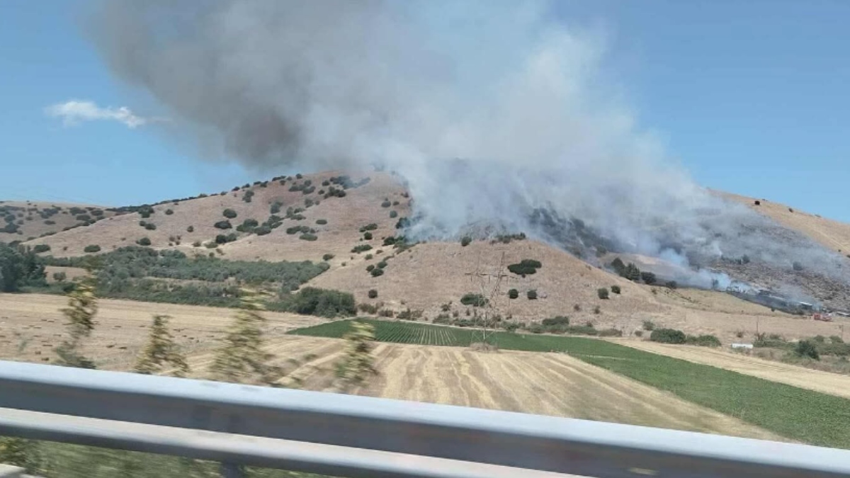 Φωτιά σε χορτολιβαδική έκταση στο Κουτσόχερο Λάρισας