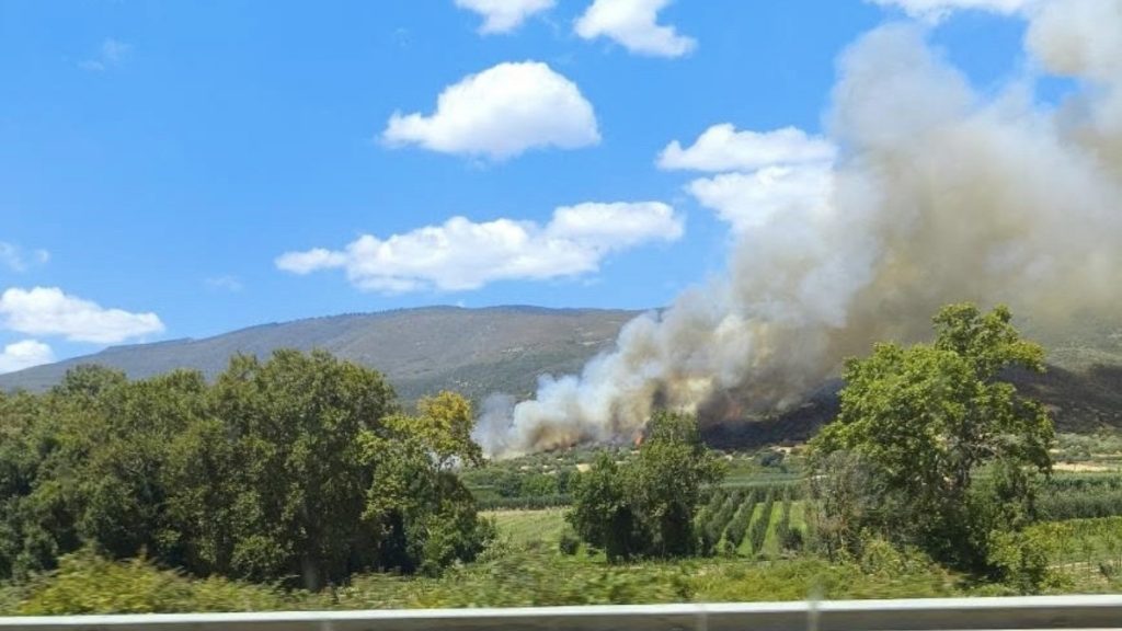 Λάρισα: Φωτιά τώρα στην περιοχή Βαθύρεμα – Σηκώθηκαν έξι εναέρια μέσα, ενεργοποιήθηκε το 112 (φωτογραφίες)