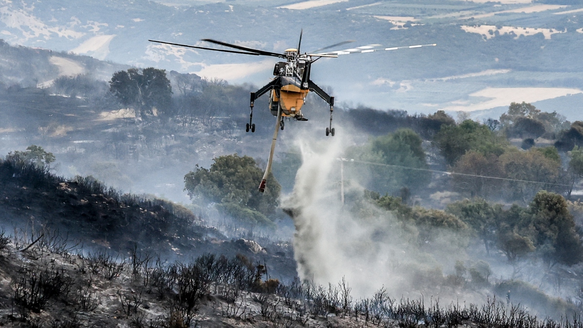 Λάρισα: Χωρίς ενεργό μέτωπο η φωτιά στο Βαθύρεμα Αγιάς – Σε αυξημένη επιφυλακή η Πυροσβεστική