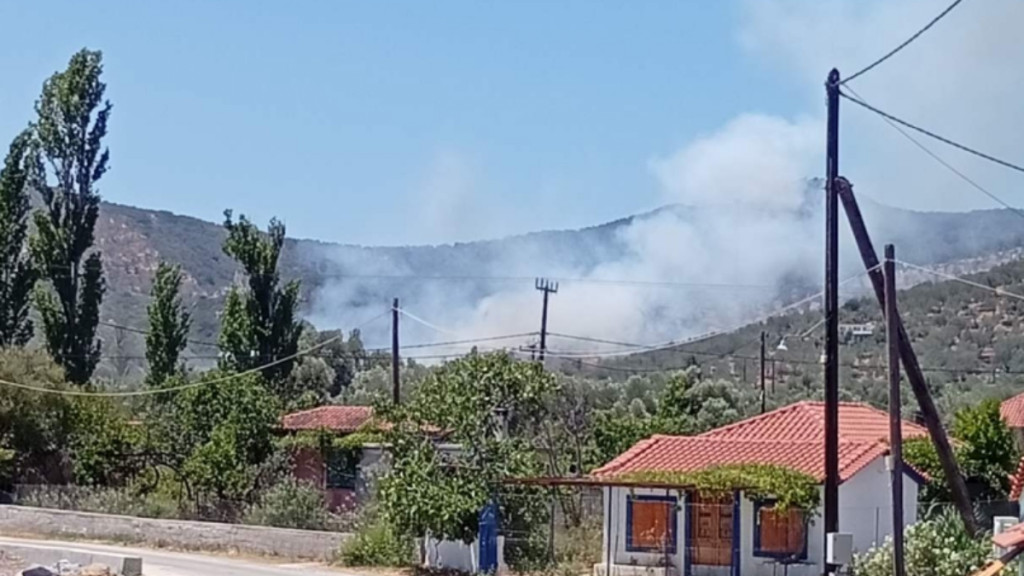 Πυρκαγιά στον Αυλώνα Λέσβου – Σηκώθηκαν 6 εναέρια μέσα