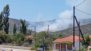 Πυρκαγιά στον Αυλώνα Λέσβου – Σηκώθηκαν 6 εναέρια μέσα – Τέθηκε υπό μερικό έλεγχο