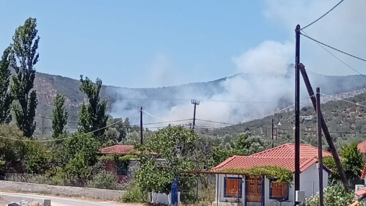Πυρκαγιά στον Αυλώνα Λέσβου – Σηκώθηκαν 6 εναέρια μέσα – Τέθηκε υπό μερικό έλεγχο