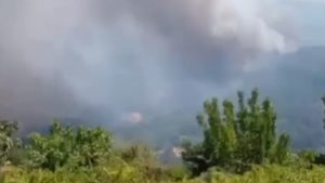Μεσσηνία: Φωτιά στην Πολυθέα –  Σηκώθηκαν 8 εναέρια μέσα, μήνυμα από το 112 για εκκένωση σε Κρυονέρι, Σελλάς (Βίντεο)