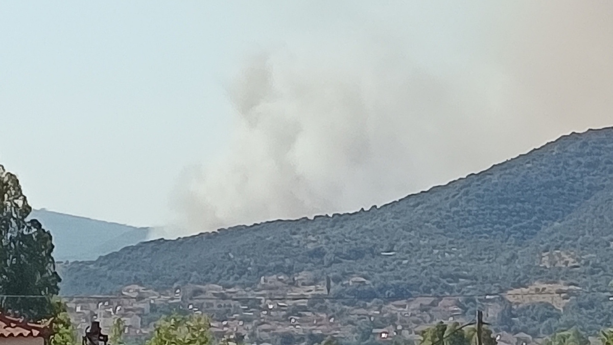 Φωτιά σε αγροτοδασική έκταση στο Νεοχώρι Μεσσηνίας – Επιχειρούν 10 εναέρια μέσα