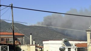 Φωτιά σε δασική έκταση στους Μολάους Λακωνίας – Επιχειρούν 3 εναέρια (Βίντεο)
