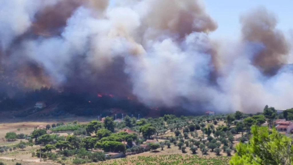 Φωτιά στην Αγία Κυριακή Ραφήνας – Μήνυμα από το 112 για εκκένωση τριών οικισμών (φωτογραφίες)