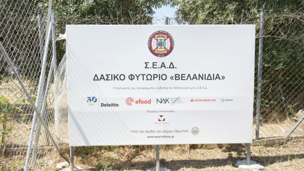 Οι εταιρείες efood, Interamerican, Anytime, Deloitte και NAK Insurance Brokers συμβάλλουν ενεργά στη διάσωση των δασών της Αττικής