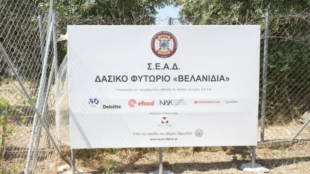 Οι εταιρείες efood, Interamerican, Anytime, Deloitte και NAK Insurance Brokers συμβάλλουν ενεργά στη διάσωση των δασών της Αττικής