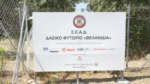Οι εταιρείες efood, Interamerican, Anytime, Deloitte και NAK Insurance Brokers συμβάλλουν ενεργά στη διάσωση των δασών της Αττικής