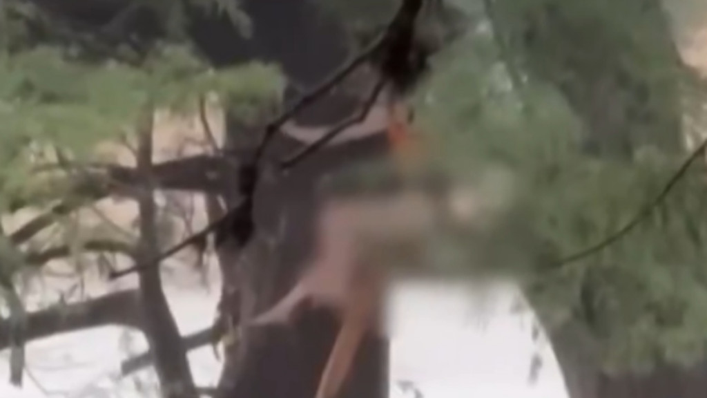 Η σοκαριστική εικόνα κοπέλας που κρέμεται από δέντρο για να γλυτώσει από τις φονικές πλημμύρες του Τέξας
