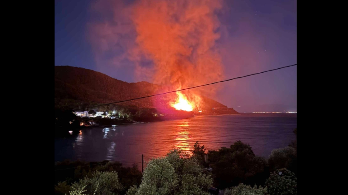 Φωτιά σε δασική έκταση στη Θάσο