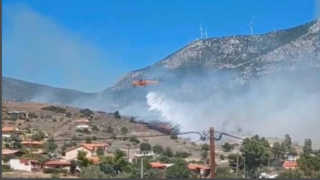 Φωτιά στην Αλυκή Βοιωτίας: «Προλάβαμε τα χειρότερα» αναφέρει ο δήμαρχος Θηβαίων