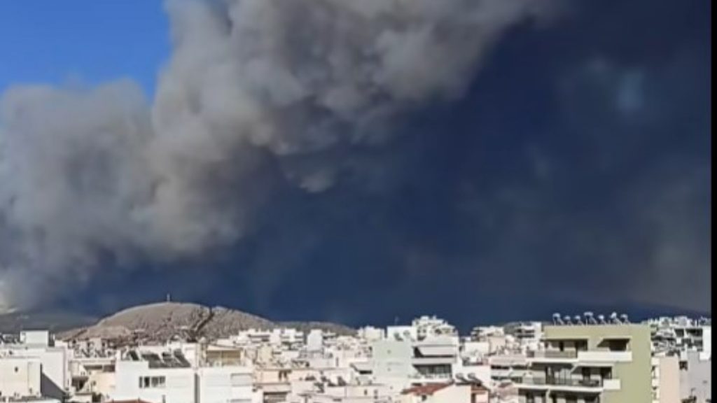 Φωτιά στην Εύβοια: Πυκνοί καπνοί «έπνιξαν» και τη Χαλκίδα – Τρέχουν να μαζέψουν τα ζώα για να μην καούν (Βίντεο)