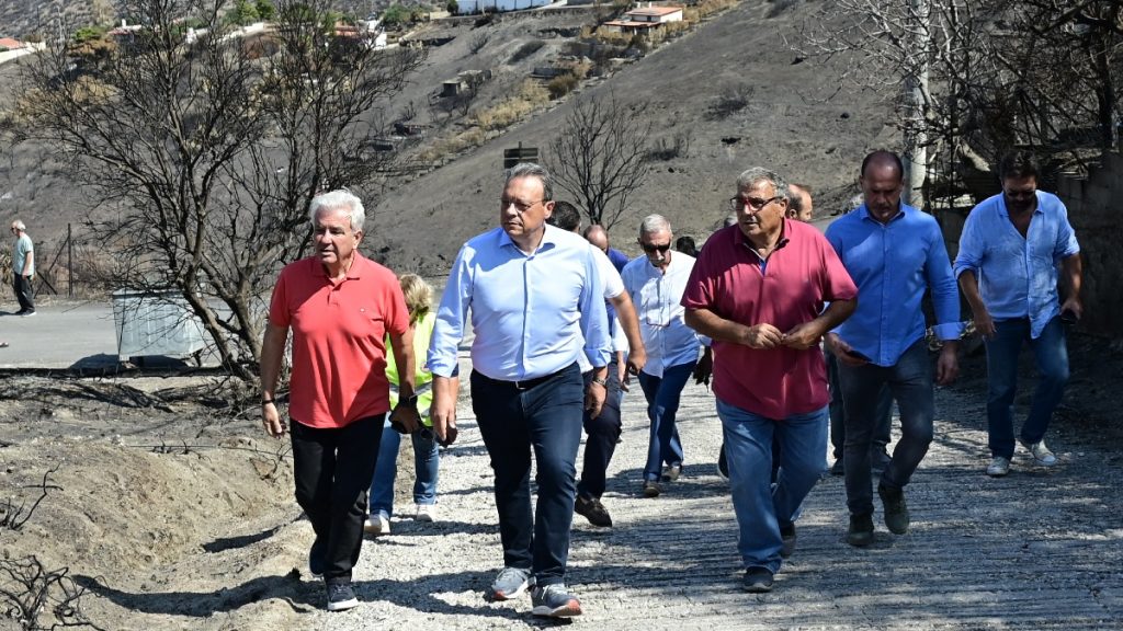 Φάμελλος από τις πυρόπληκτες περιοχές της Αν. Αττικής: “Άμεσα μέτρα στήριξης των τοπικών κοινωνιών και προστασίας του περιβάλλοντος”