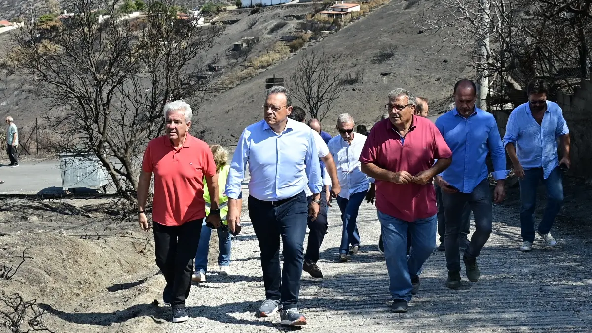 Φάμελλος από τις πυρόπληκτες περιοχές της Αν. Αττικής: “Άμεσα μέτρα στήριξης των τοπικών κοινωνιών και προστασίας του περιβάλλοντος”