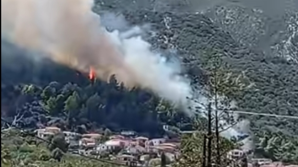 Καλύτερη η εικόνα της φωτιάς σε δάσος στο Διαβολογέφυρο Τροιζηνίας – Επιχειρούν 6 εναέρια μέσα (βίντεο)