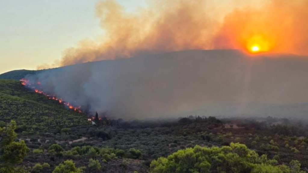 Φωτιές σε Κεφαλονιά, Ζάκυνθο, Βόνιτσα, Φωκίδα – Εκκενώσεις οικισμών και διακοπές ρεύματος – Στη μάχη και εναέρια μέσα (βίντεο)