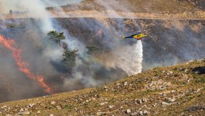 Φωτιά σε δασική έκταση στη Λάρισα – Στη μάχη έξι εναέρια
