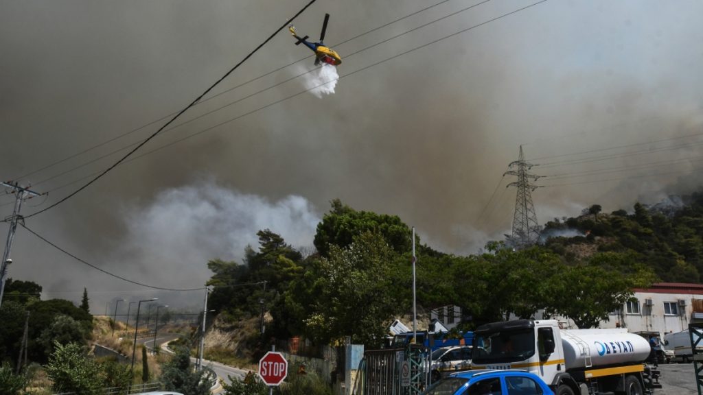 Φωτιά στην Πάτρα: Εντοπίστηκε από φωτογράφο ο 25χρονος που συνελήφθη για εμπρησμό δίπλα στο Γηροκομείο