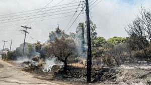 Σε ύφεση τα πύρινα μέτωπα σε Πρέβεζα και Άρτα – Χωρίς ενεργό μέτωπο η πυρκαγιά στη Ζάκυνθο