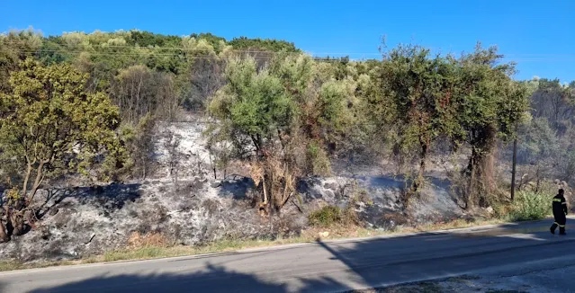 Φωτιά σε δασική έκταση στο Ράγιο Θεσπρωτίας – Ήχησε το 112  – Tέθηκε υπό έλεγχο