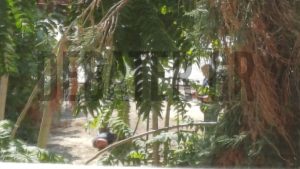 Γυναικοκτονία στον Βόλο: Κρυβόταν 29 ώρες στην πόλη – «Με απατούσε, τι να έκανα», τα πρώτα του λόγια (εικόνες, βίντεο) 