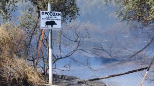 Φωτιά στην Αργολίδα – Στην μάχη εναέρια μέσα (Εικόνες)