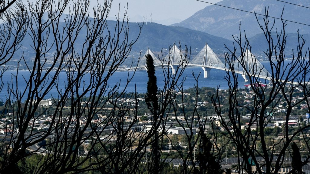 Αχαΐα: Σοκαριστικές φωτογραφίες από τα καμμένα στην Πάτρα – Στάχτη πολλά στρέμματα πρασίνου