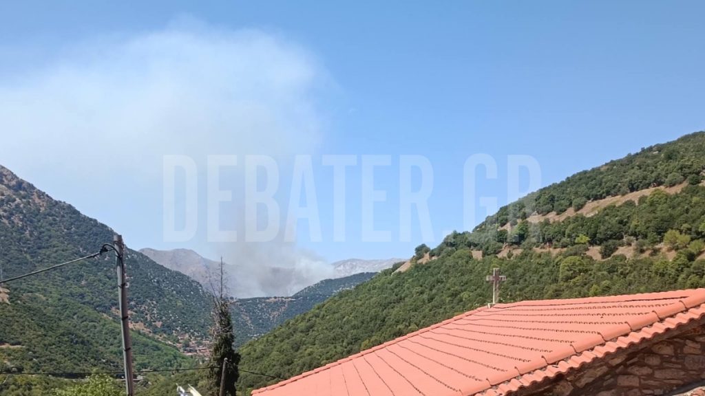Πυρκαγιά στο Λιβάρτζι Αχαΐας – Ήχησε το 112, σηκώθηκαν 3 ελικόπτερα (φωτογραφίες)